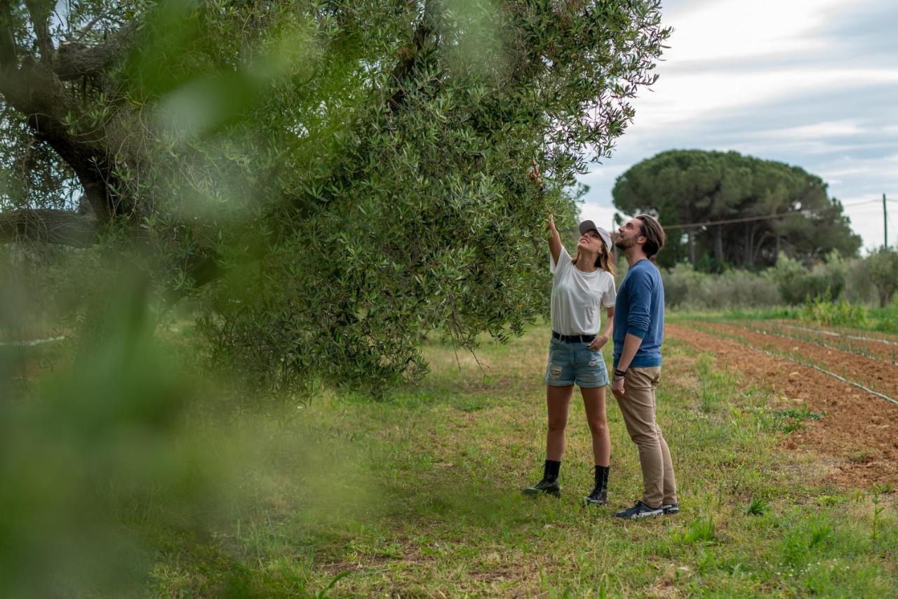 Agriturismo La Banchella Scarlino Kültér fotó