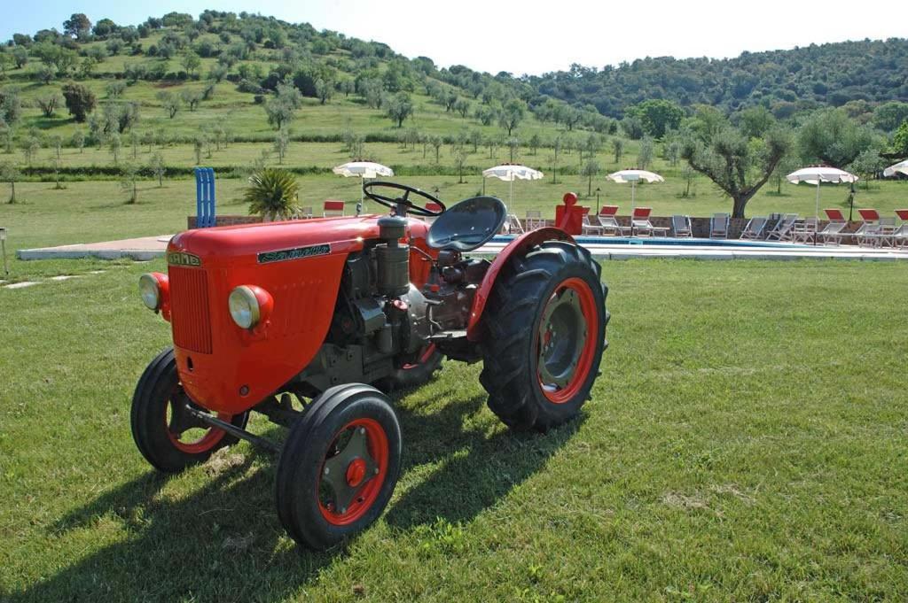 Agriturismo La Banchella Scarlino Kültér fotó